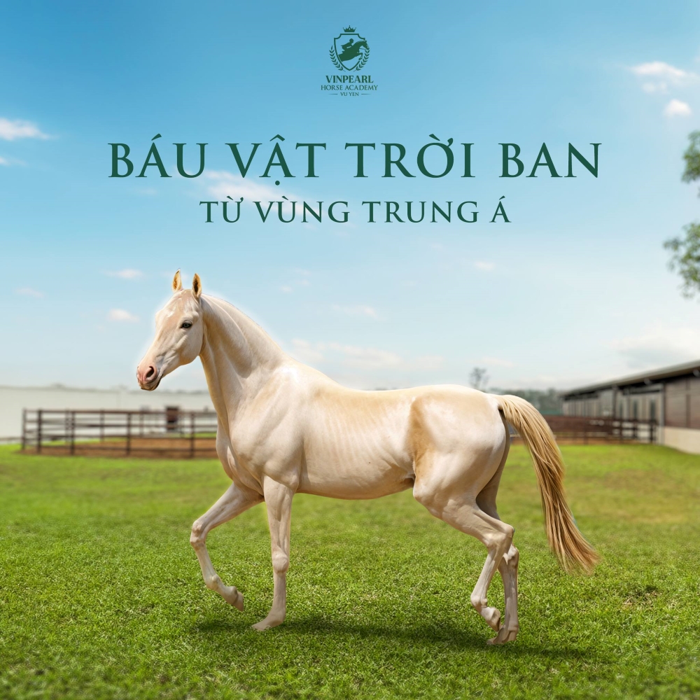 Học viện cưỡi ngựa Vũ Yên sở hữu diện tích lên tới 30 ha