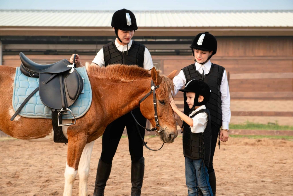 Học viện cưỡi ngựa Vũ Yên - Top những trải nghiệm nên thử khi đặt chân tới đảo Hoàng Gia