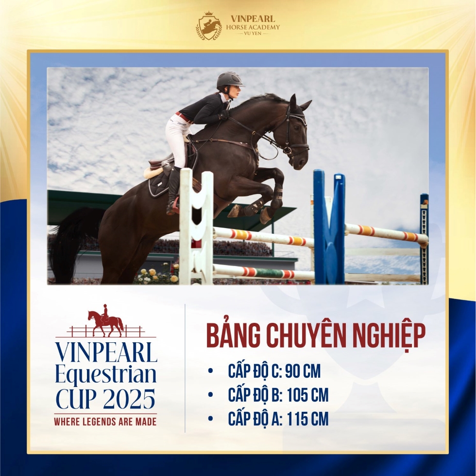 Bảng chuyên nghiệp của giải đấu Vinpearl Equestrian Cup 2025