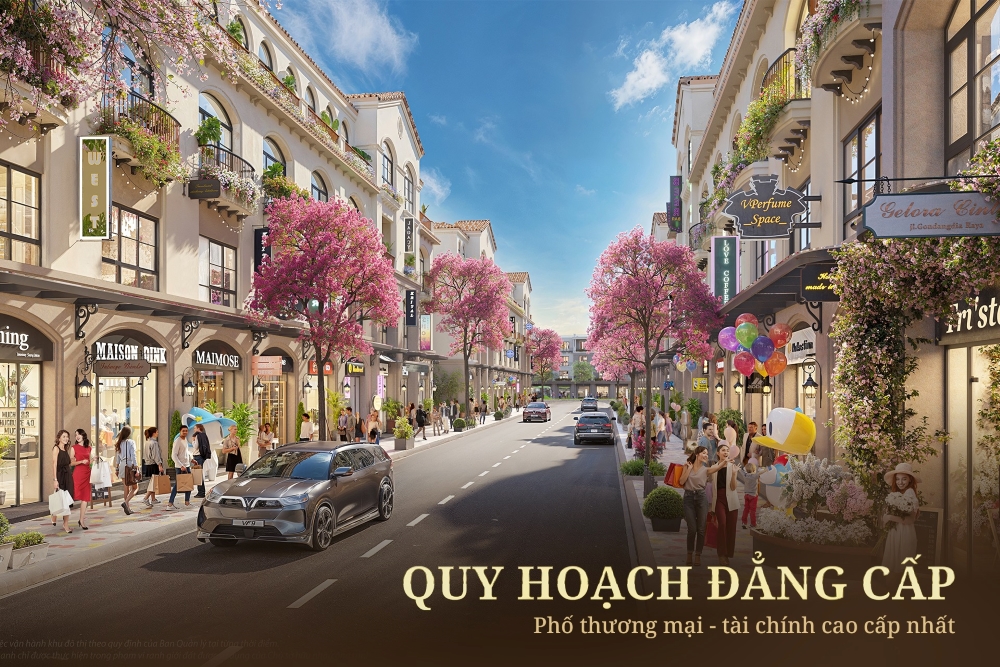 Quy mô của các căn shophouse liền kề Royal Boulevard Vũ Yên