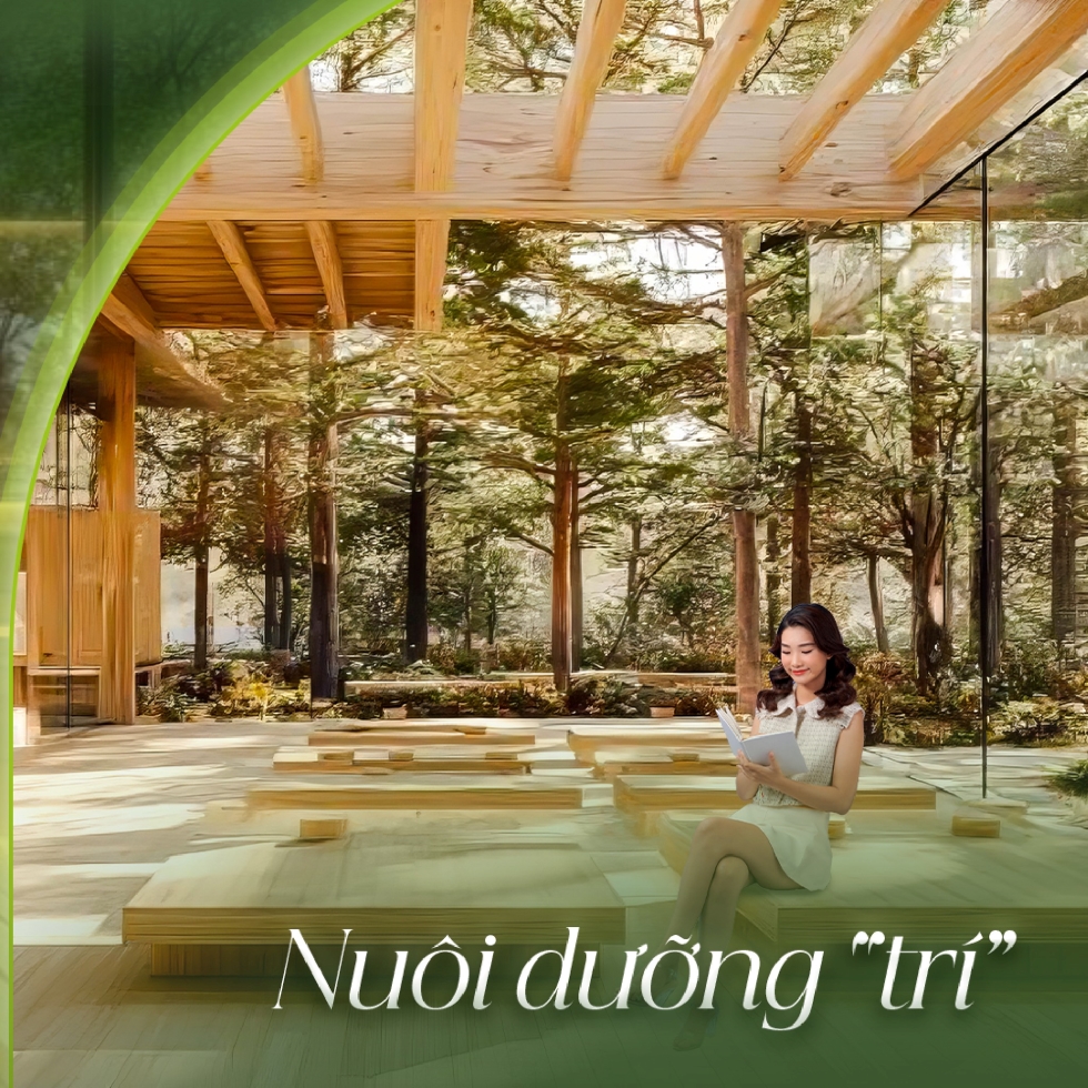Không gian trà đạo và thiền định – Nuôi dưỡng chiều sâu trí tuệ tại Ikigai Wellness Center Vũ Yên